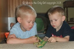 Wordless Wednesday – Playing Nicely