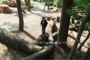Very Cool Park (that I should have posted sooner)