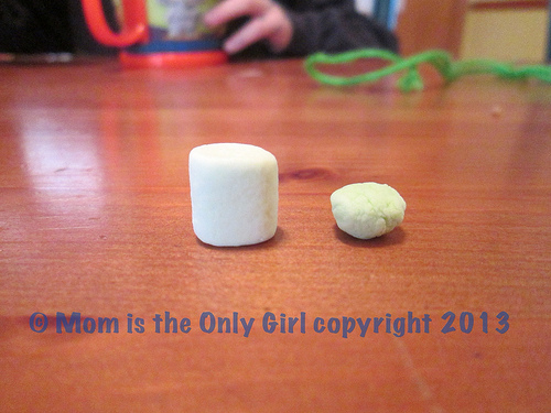 Marshmallow Float Experiment