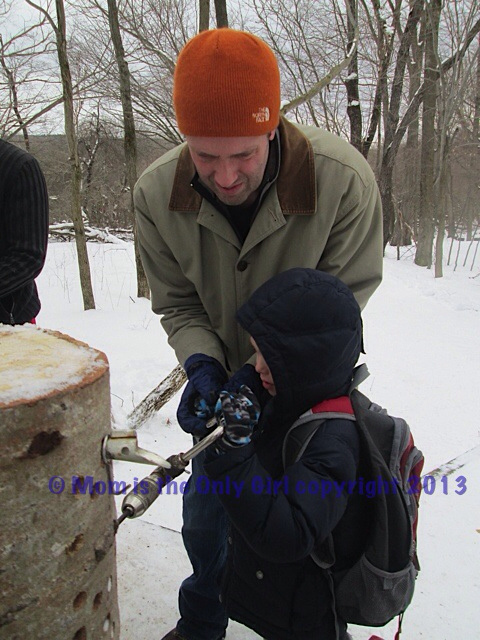 Maple Sugaring Festival