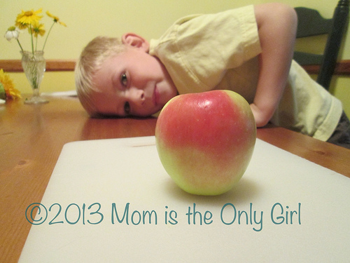 A is for apple/Apple Investigation