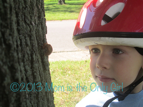 4 Year Old’s Questions