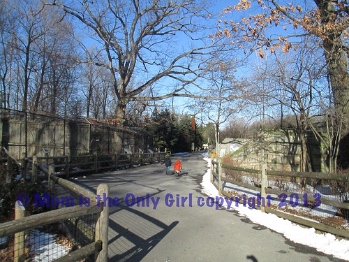 5 Senses and the zoo